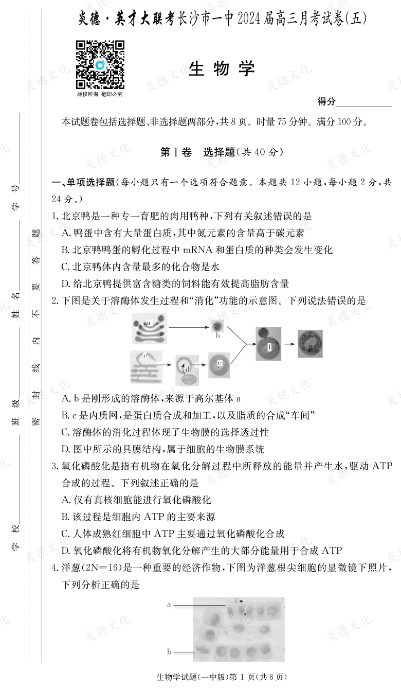 [生物]炎德英才大联考2024届长沙市一中高三5次月考